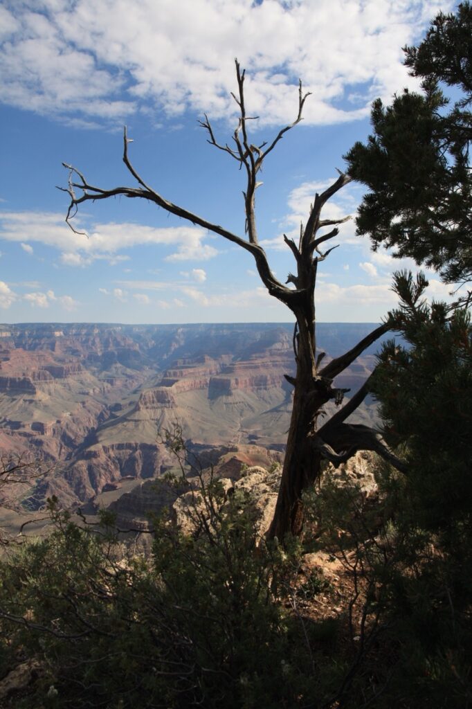 Grand Canyon National Park, Arizona, détail photographique en noir et blanc