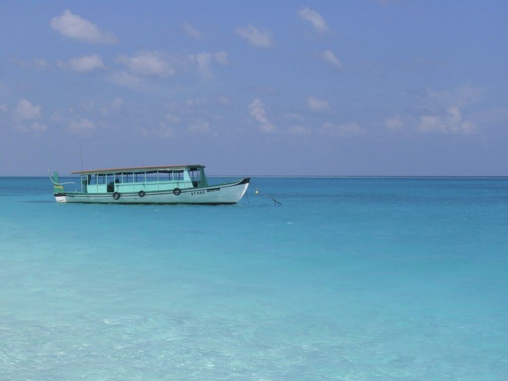 Maldives, Asie du Sud, photographie de nature en noir et blanc