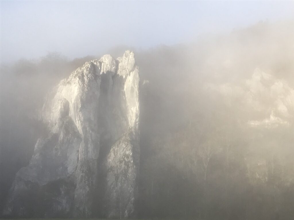 Houyet, Belgique, photographie de nature en noir et blanc
