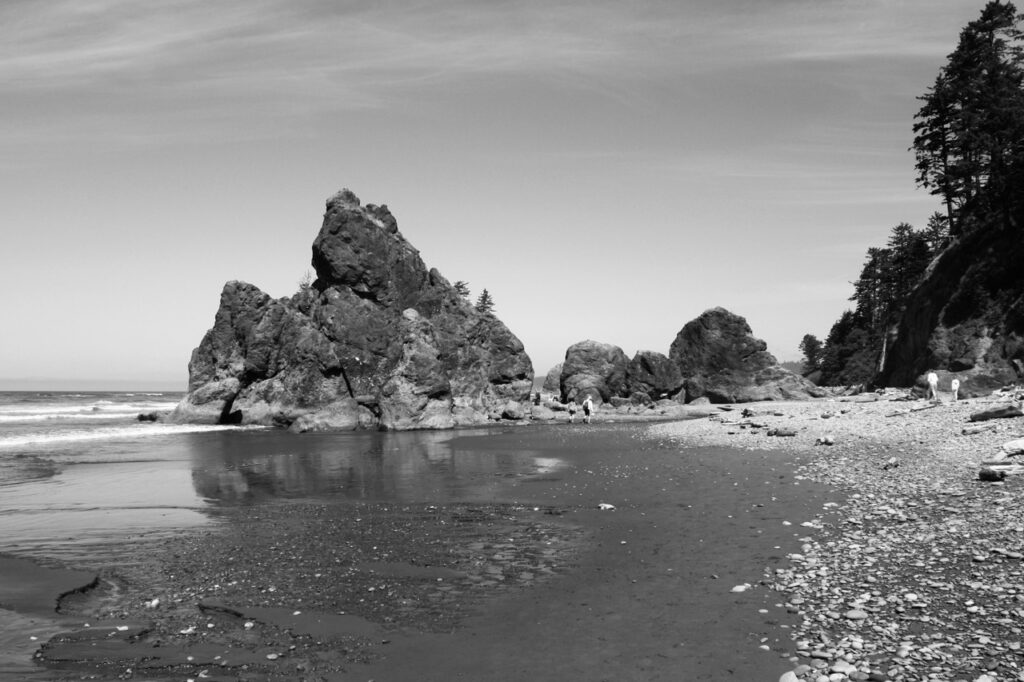 Jefferson, Washington, photographie de nature en noir et blanc