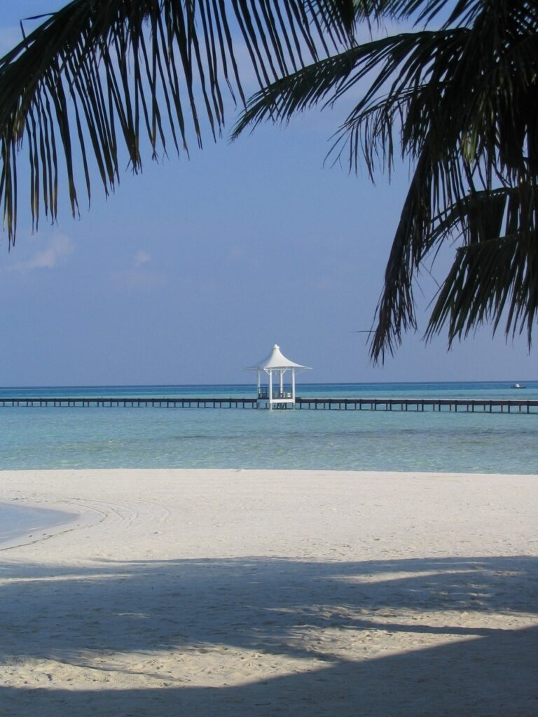 Maldives, Asie du Sud, photographie de nature en noir et blanc