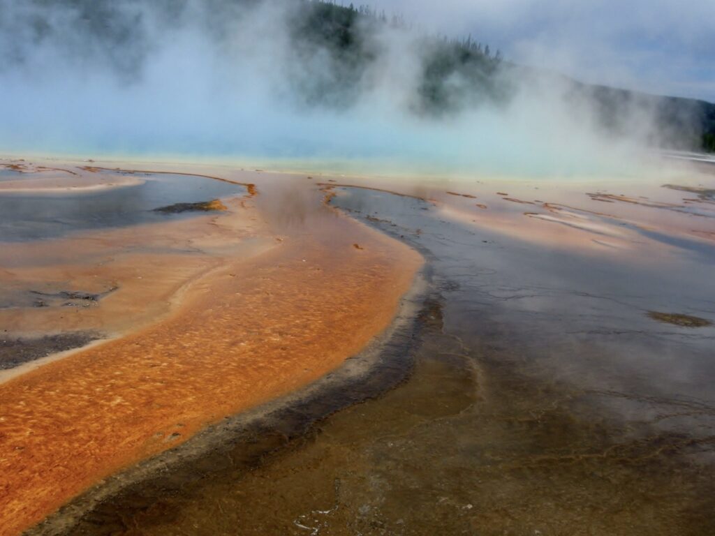 Yellowstone National Park, Wyoming, photographie de nature en noir et blanc