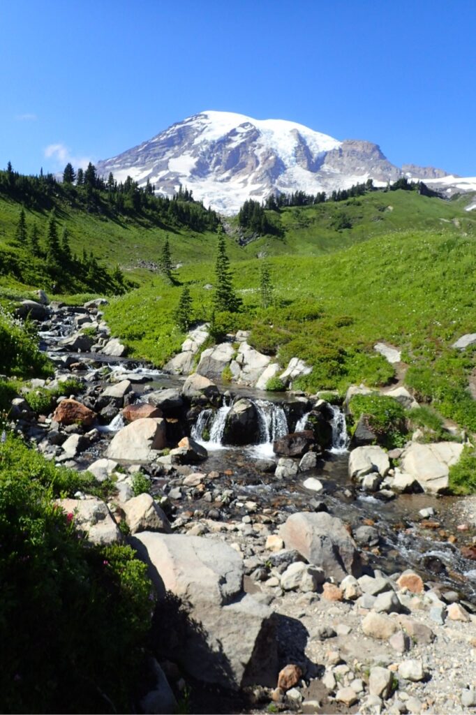 Mount Rainier National Park, Washington, photographie de nature en noir et blanc