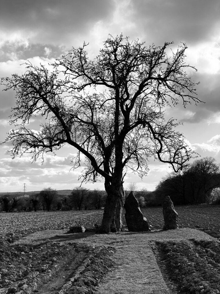 Menhirs d'Oppagne, Somme Leuze, photographie de nature en noir et blanc